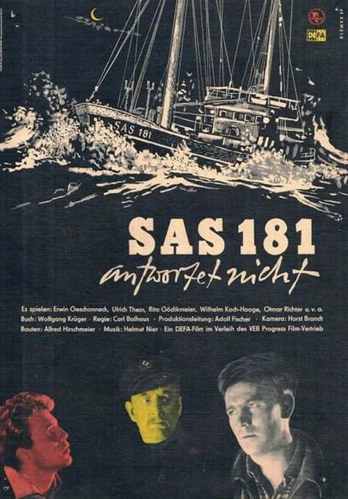 SAS 181 antwortet nicht